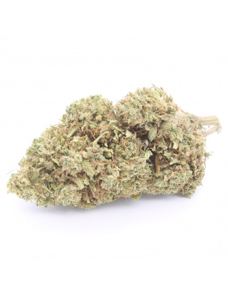 og kush infiorescenza