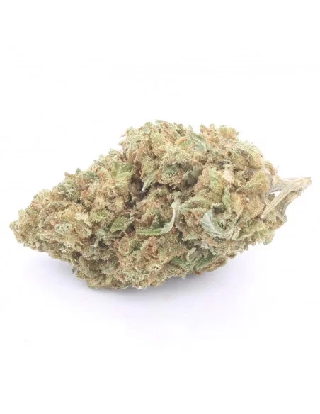 orange juice infiorescenza orange juice infiorescenza