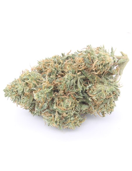orange bud infiorescenze
