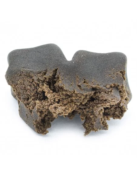 choco pongo choco pongo