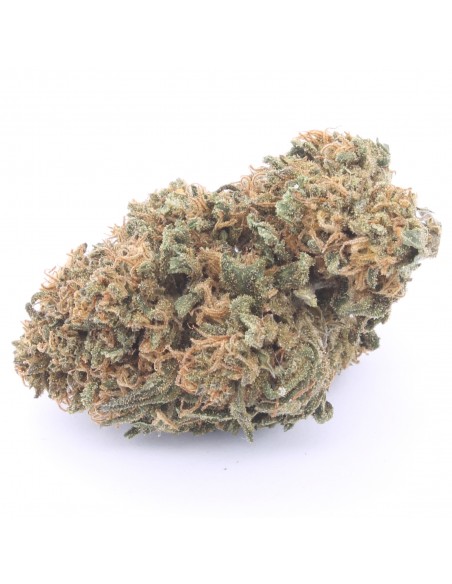 og kush