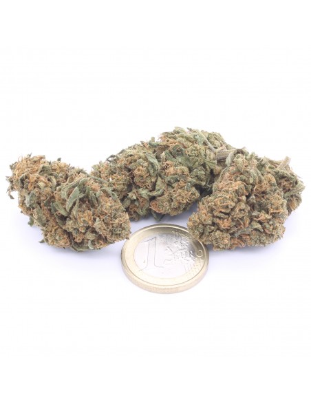 og kush