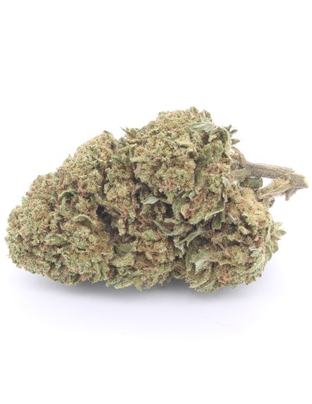critical+