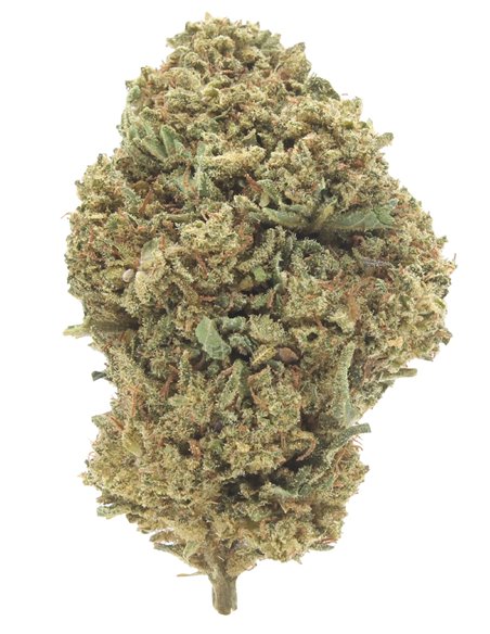 critical+