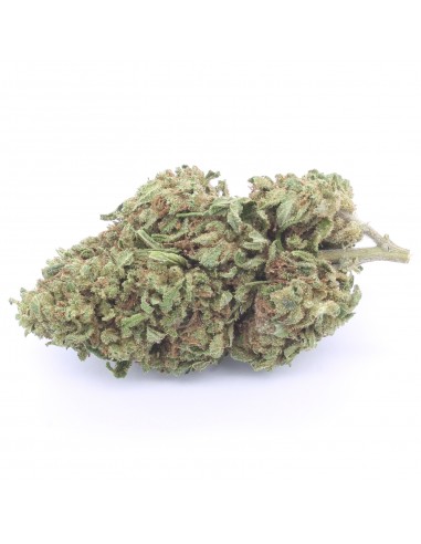 blueberry pie