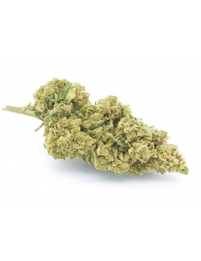 Gorilla Glue