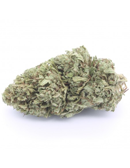 bubblegum
