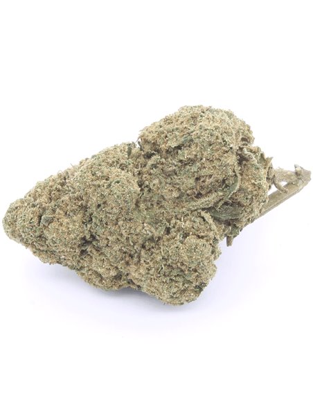 super silver haze