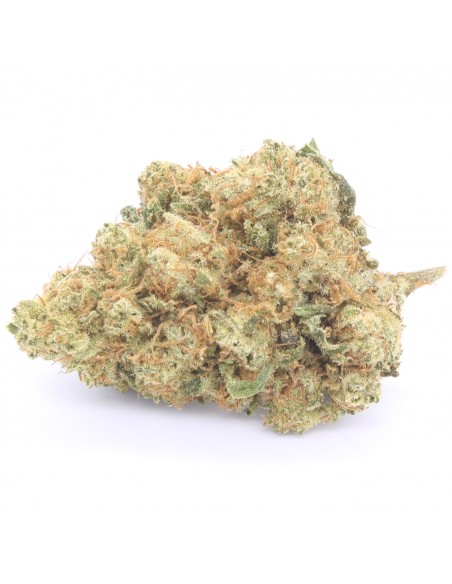 northern light