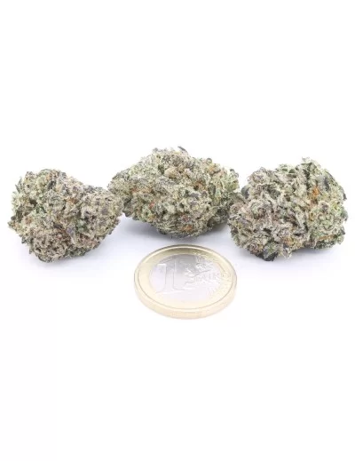 Zkittlez 2