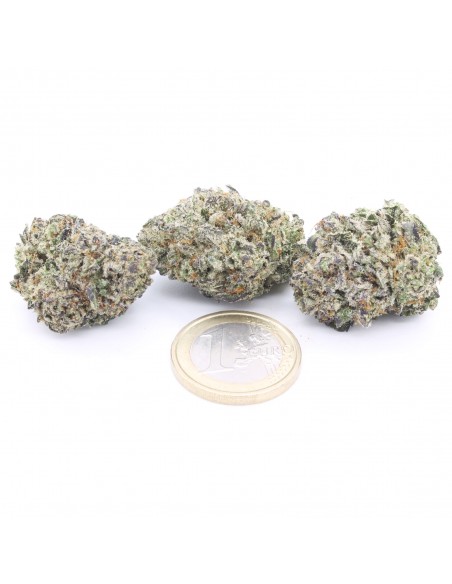 Zkittlez