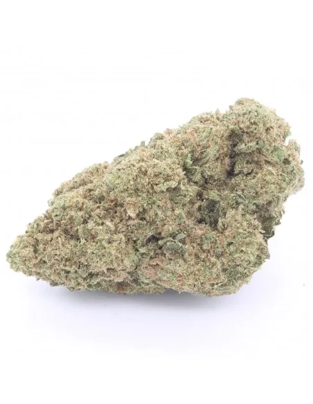 passion fruit passion fruit