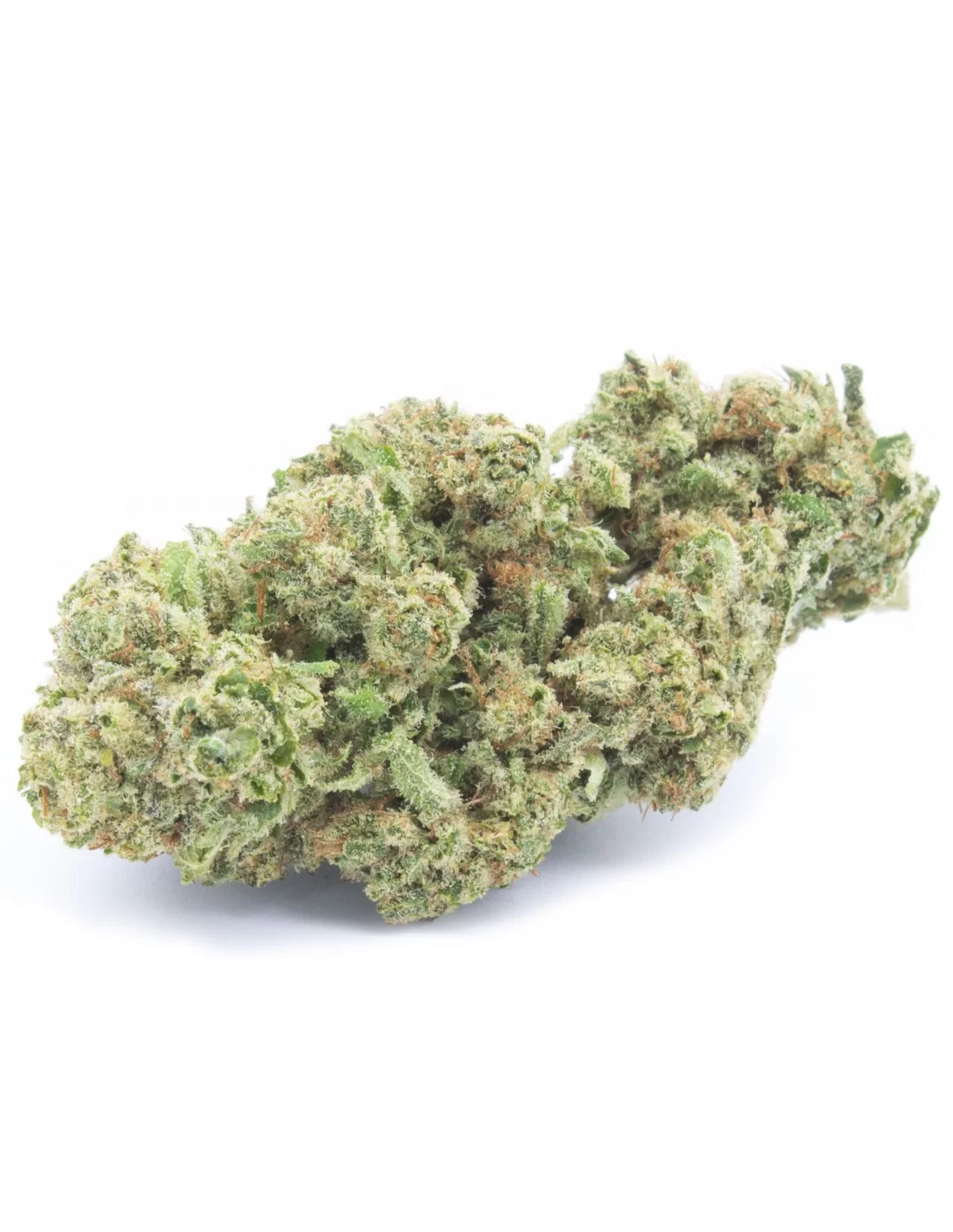 white widow infiorescenza white widow infiorescenza