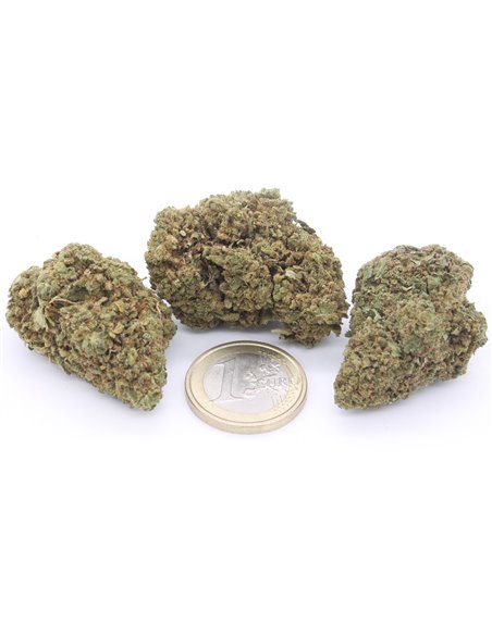 Amnesia Haze