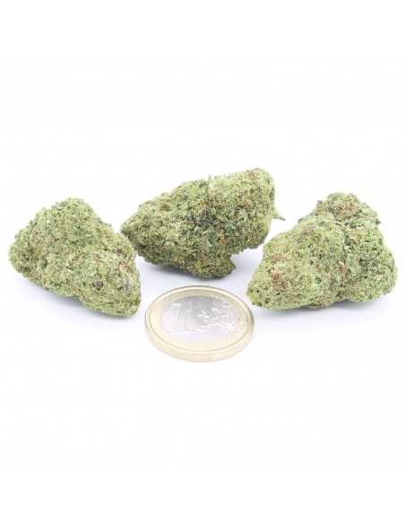 zkittlez infiorescenza