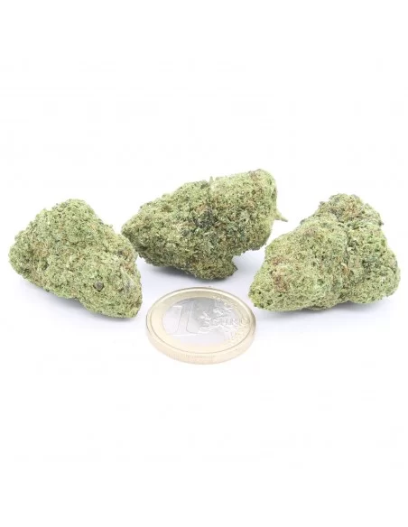 zkittlez infiorescenza zkittlez infiorescenza