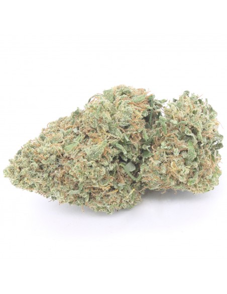 super skunk inflorescence