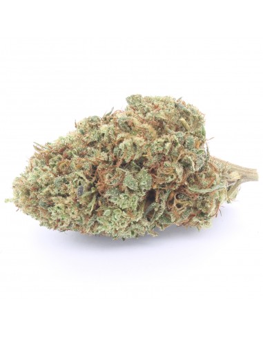 lemon haze