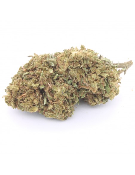 cbd therapy