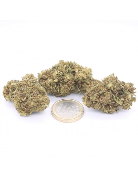 cbd therapy