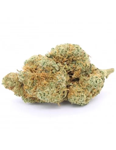 pineapple-express-big pineapple-express-big