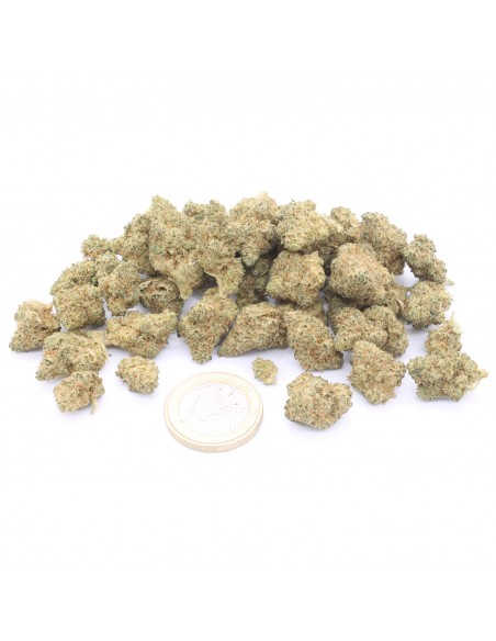 key-lime-mini