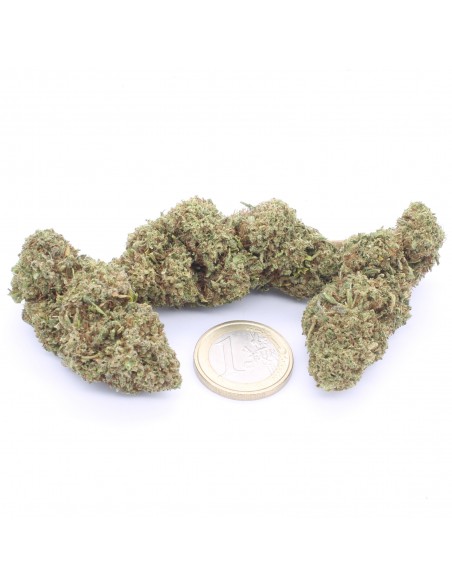 orange bud infiorescenza