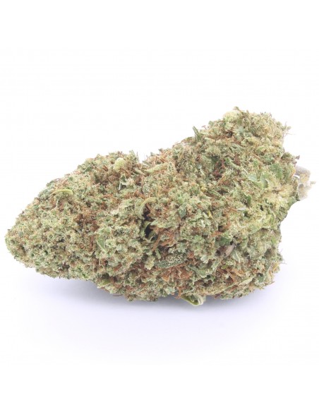 orange bud infiorescenza