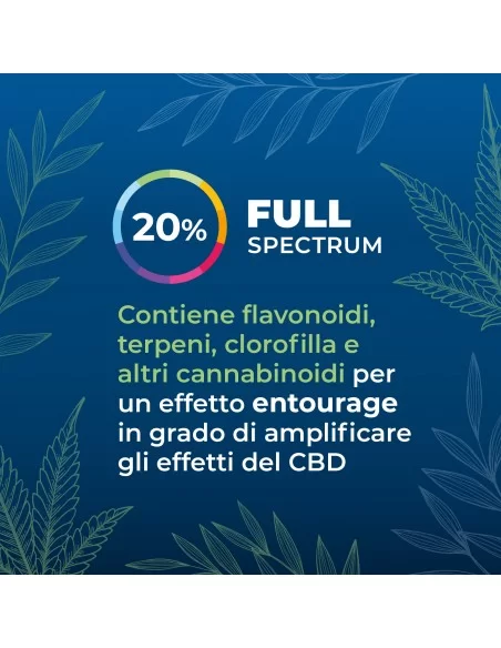 Olio CBD full-spectrum 20% secondaria