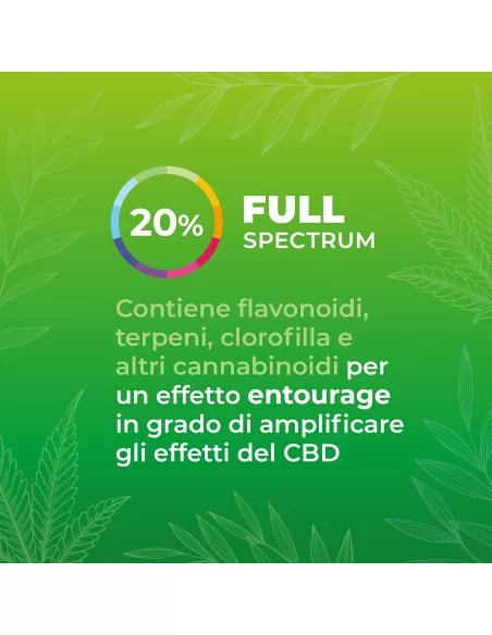 Zenia Olio CBD Vollspektrum 20%