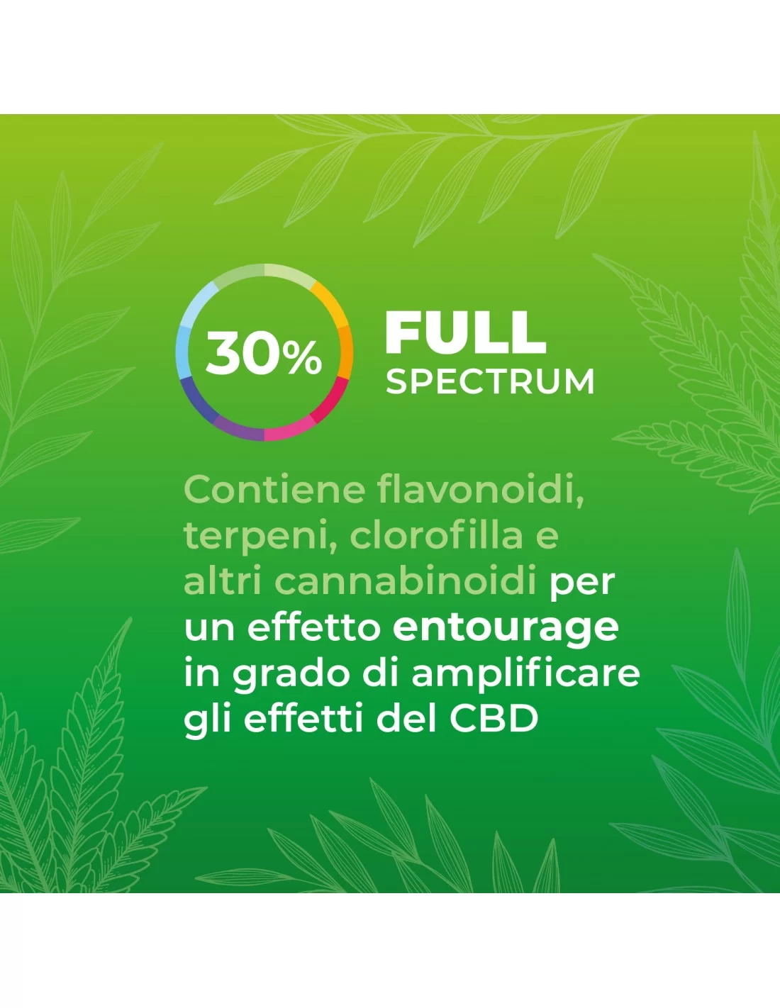 Zenia Olio CBD Evo full-spectrum 30% secondaria Zenia Olio CBD Evo full-spectrum 30% secondaria