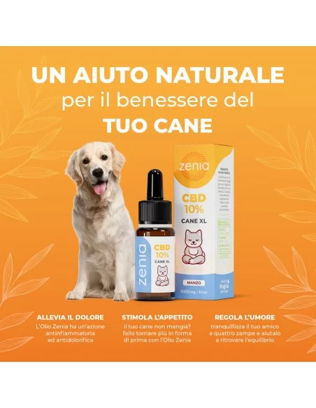 Zenia Olio CBD 10% Cane XL Zenia Olio CBD 10% Cane XL