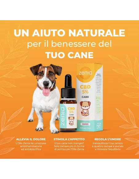 Zenia Olio CBD 5% Cane secondaria 10ml Zenia Olio CBD 5% Cane secondaria 10ml