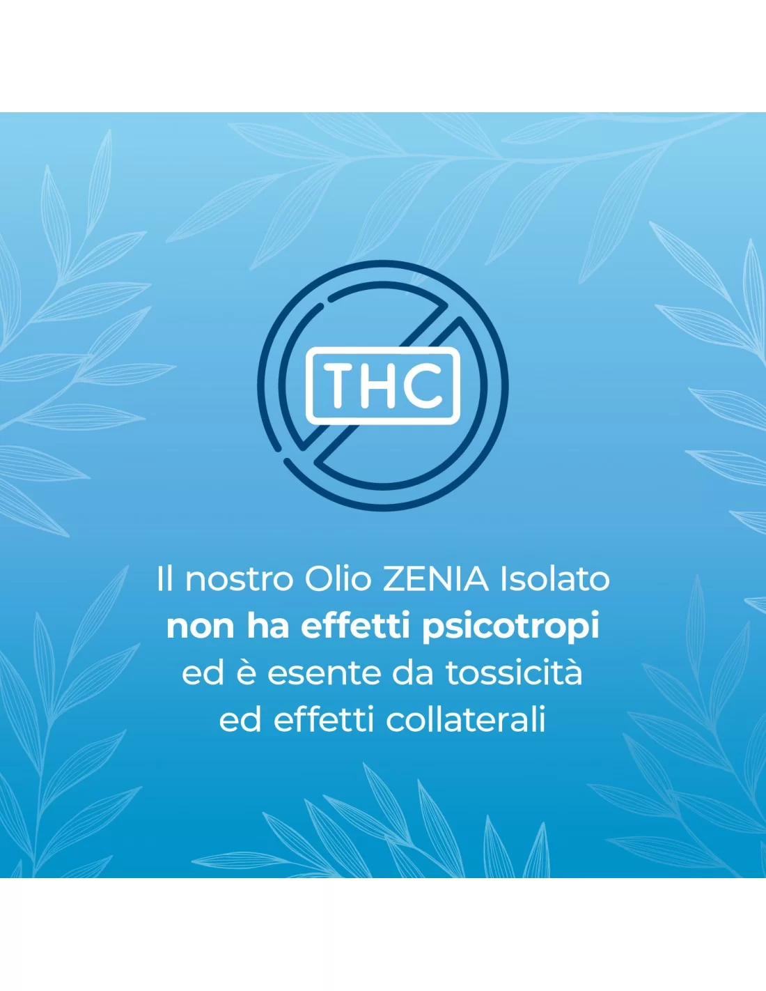 Zenia Huile CBD 20% Zenia Huile CBD 20%