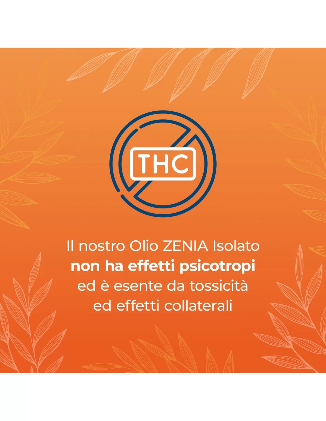 CBG Oil 5% CBG Oil 5%