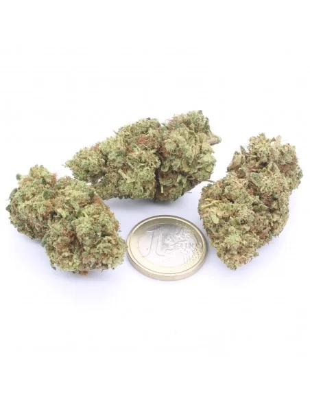 super lemon zest super lemon zest