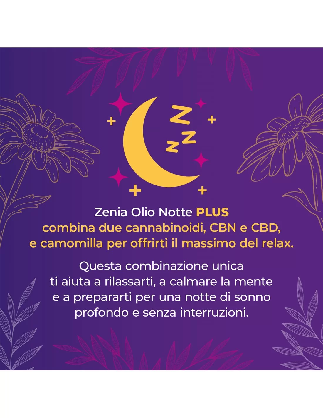 Zenia Olio Notte Plus 30% CBD + CBN Zenia Olio Notte Plus 30% CBD + CBN