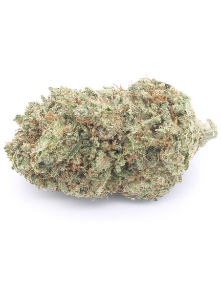 Pineapple Express infiorescenza