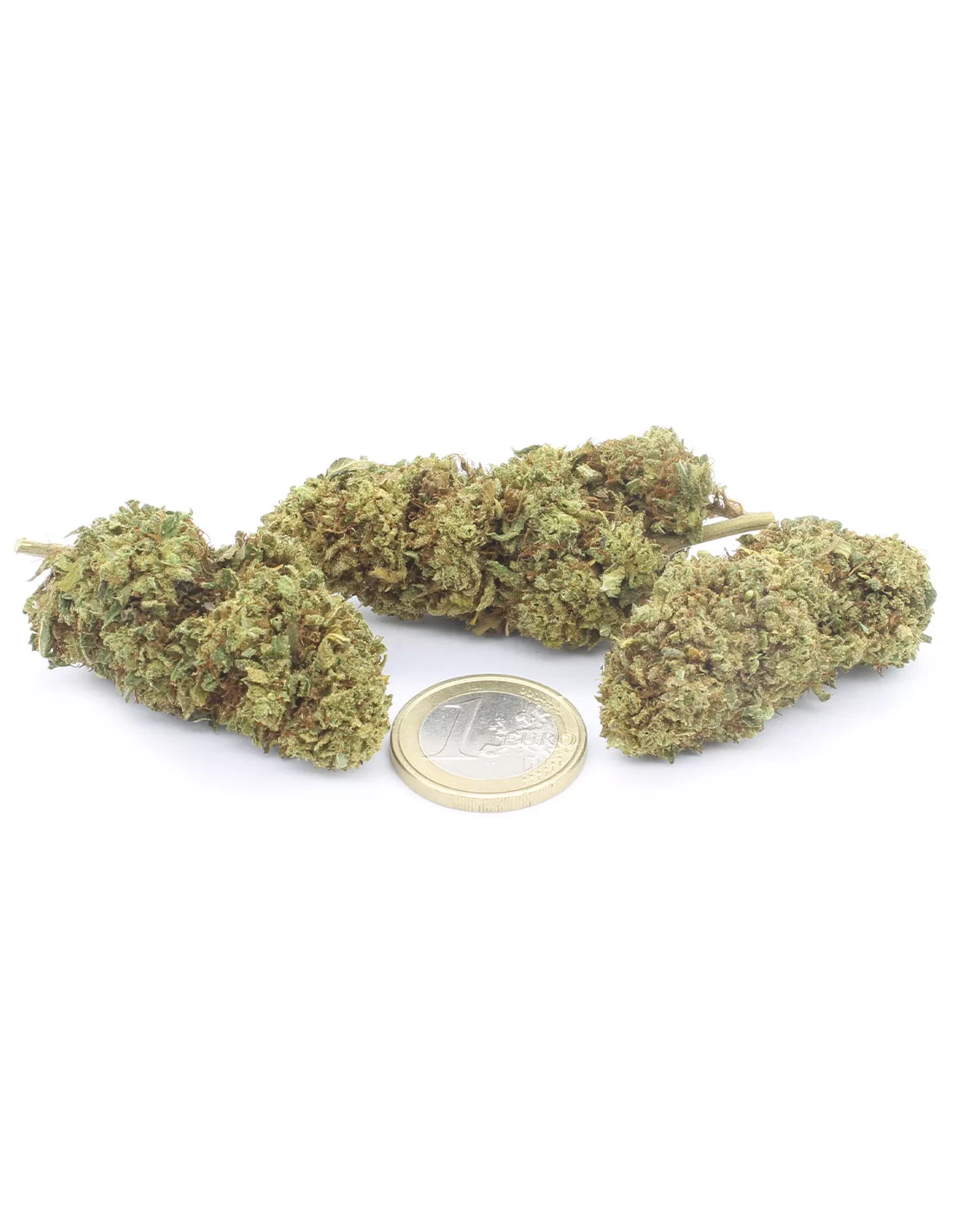 Lemon Haze infiorescenza Lemon Haze infiorescenza