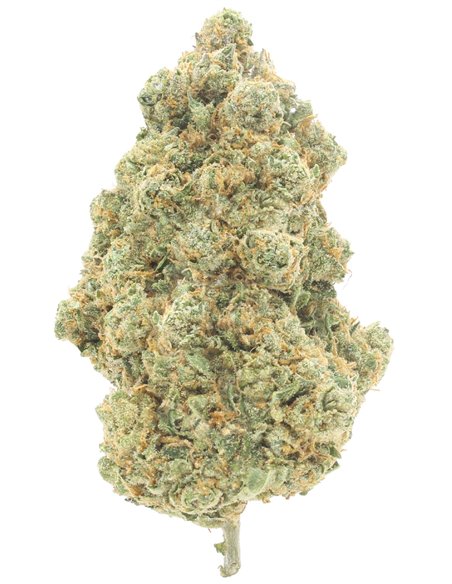 AK47 Indoor infiorescenze