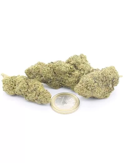 Girl Scout Cookies 2