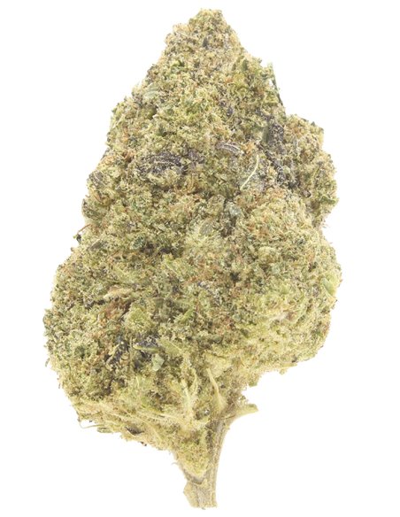 Girl Scout Cookies