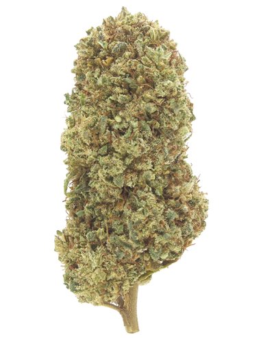 Lemon Haze