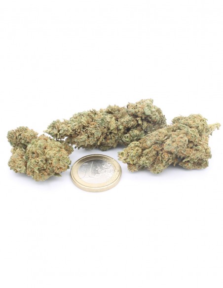 gorilla glue
