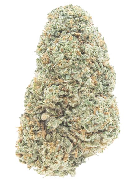 Northern Lights