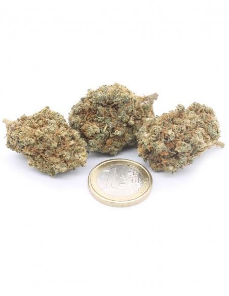 og kush