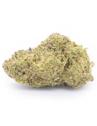 Girl Scout Cookies