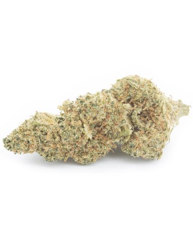 Lime Cookie