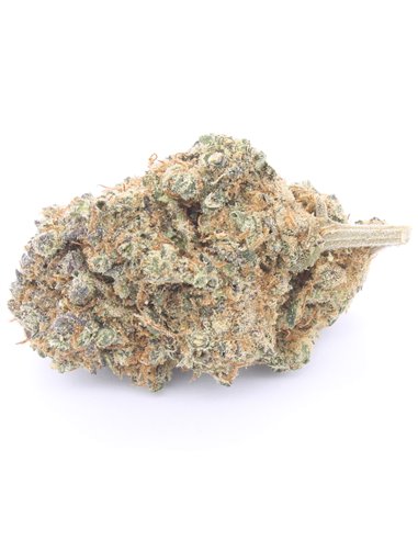 OG Kush