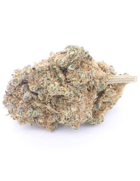OG Kush